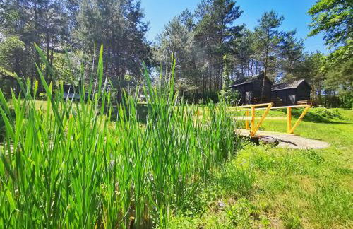 Dom i Domki nad Tanwią Roztocze - Foto 12