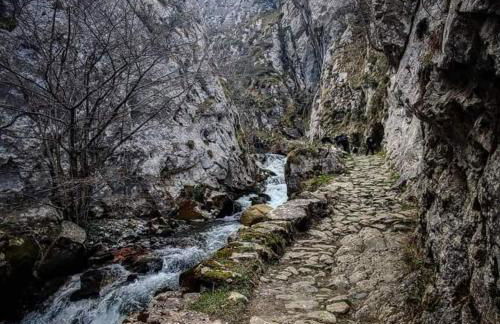 CA' REMEDIOS - Foto 29