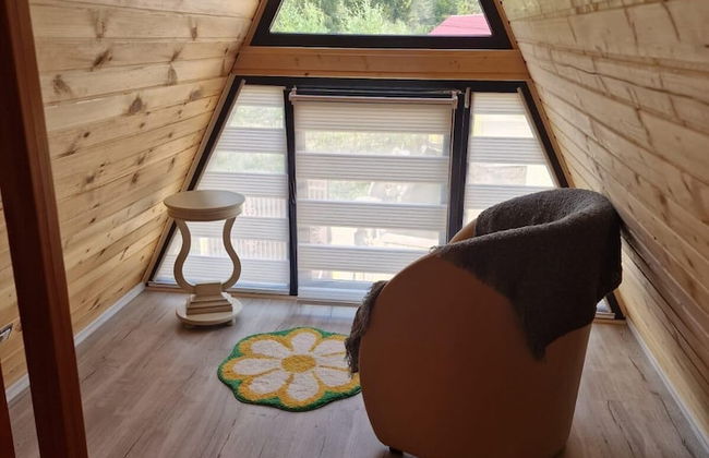 Bucovina-a-framehouse-hottub-fireplace-patio-wifi - Foto 10