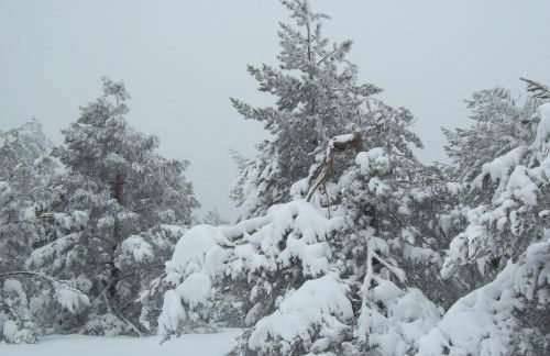 Casa Las Tinajas - Foto 52