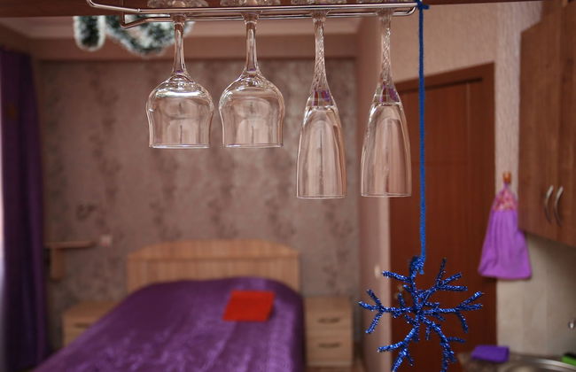 ApartHotel Otin - Foto 22