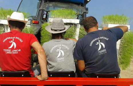 Agri B&B Terre Joniche - Foto 58