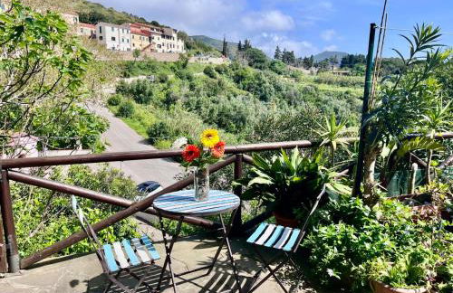 Casa Ariel - Elba Affitti - Foto 1