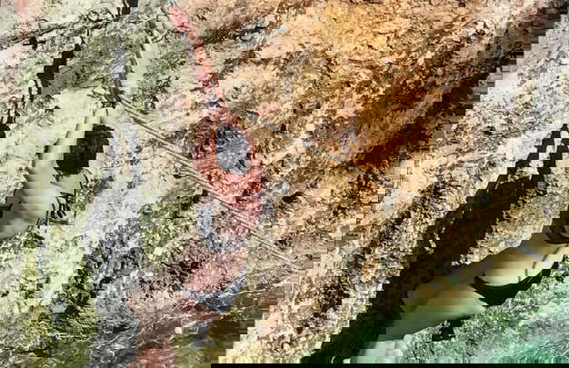 Chococacao Maya + Cenote Tour - Foto 18