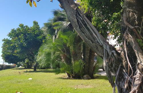 Complex Vicor - Foto 8