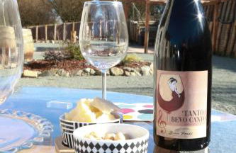 Cà d'Rita Monferrato - Viognier con sauna interna e idromassaggio e piscina esterni - Foto 13