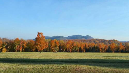 Hawkeyes Rest - Foto 5