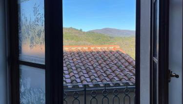 Vincent van Gogh Dolce Vita - Foto 5