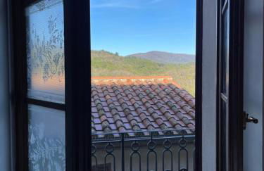 Vincent van Gogh Dolce Vita - Foto 5