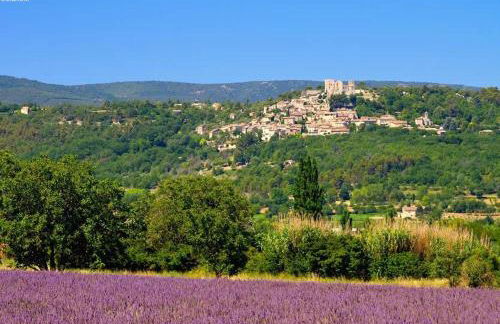 La maison aux oiseaux - Luberon - Foto 65