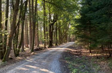 Loft im Haus mit Geschichte - Foto 16