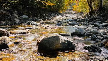 Cozy 1890s farmhouse - Foto 3