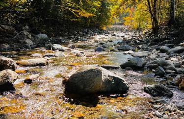 Cozy 1890s farmhouse - Foto 3