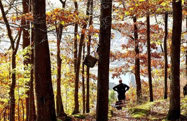 Premium Vulkaneifel Chalet - Foto 54