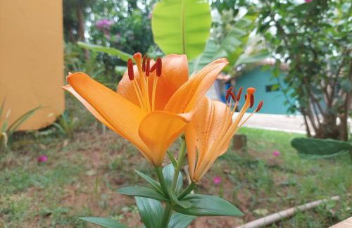 Temporada Belas Casas - Foto 48