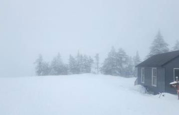 Chandler Hill Base Camp - Enjoy A Nature Getaway in this Rustic Home in the Mountains, 10 minutes from Sunday River Ski Mountain! home - Foto 40