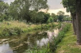 Maison familiale : charme & nature - Foto 23