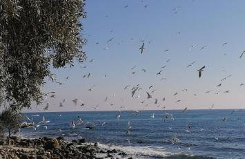 Aqua Blue villa - Foto 28