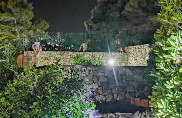 Casa Euforbia Vista Mare - Pescoluse - Foto 33