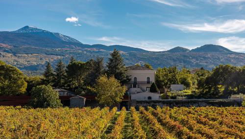 Camporè Etna Wines and Resort - Foto 1