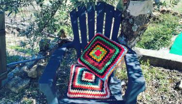 Palheirinho - Foto 3