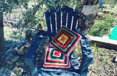 Palheirinho - Foto 3