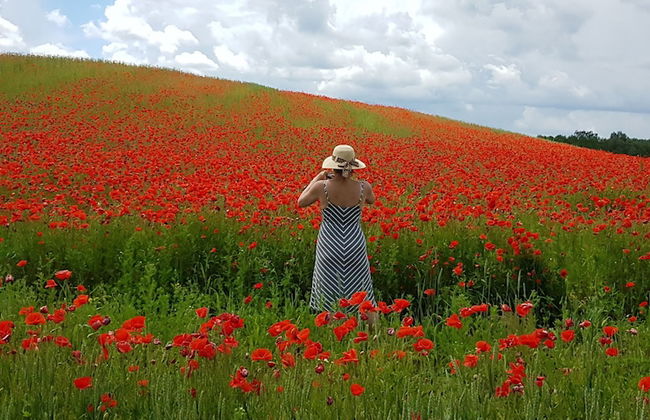 Kamienny Ogród Holiday Park - Foto 26