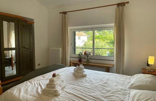 Apartment Asplanato - DOL163 by Interhome - Foto 20