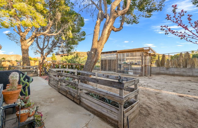 The Juniper - Foto 37