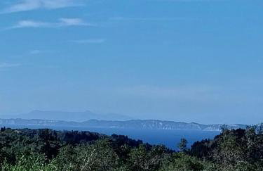 Folini House - Foto 12