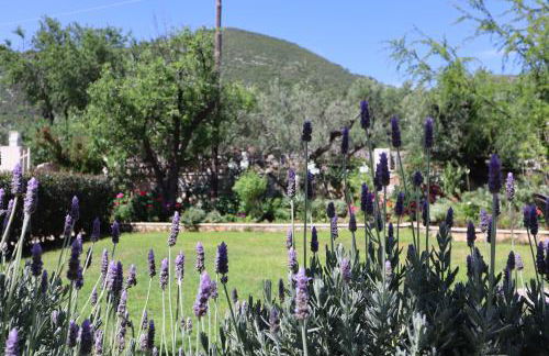 Villa Serenity - Foto 46