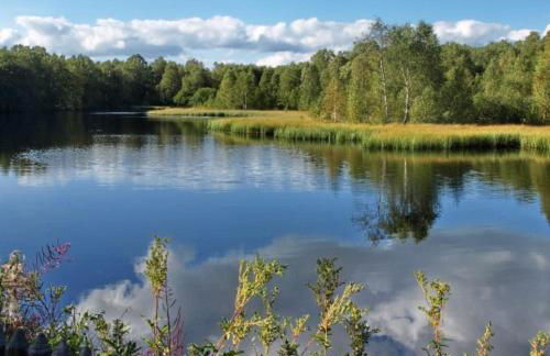 Ferienhaus Birx - Foto 58