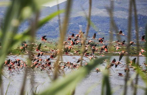 RichMarHome - Foto 65