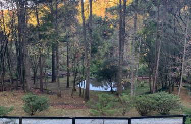 Chalé de luxo pertinho de Monte Verde - Foto 29