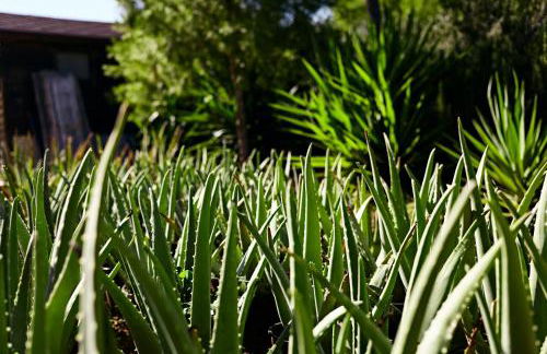 Villa Irini - Foto 44