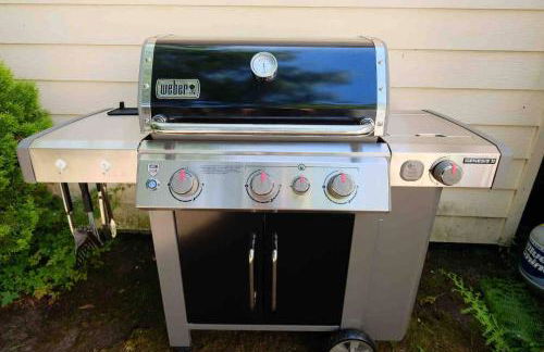 Greenlake Craftsman - Hot Tub, AC, Dog Friendly - Photo 14