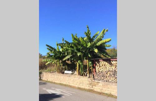 Die Panorama-Wohnung-im-Grünem - Foto 10