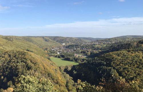 Villa Holgenbach - Penthouse und Ferienwohnung im Nationalpark Eifel - Foto 68