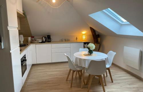 Chez Gustave charmant T2, 4 min place Ducale - Foto 2