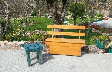 Studio Zambujinha - Foto 3