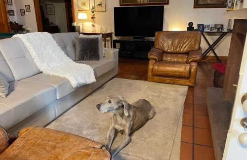 Casas de Pedra - Foto 29