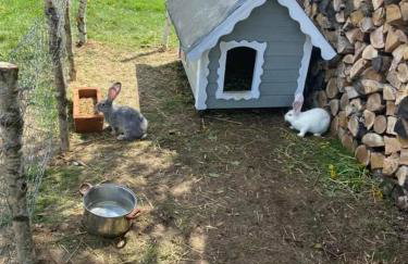 Domek na Uboczu - Foto 26