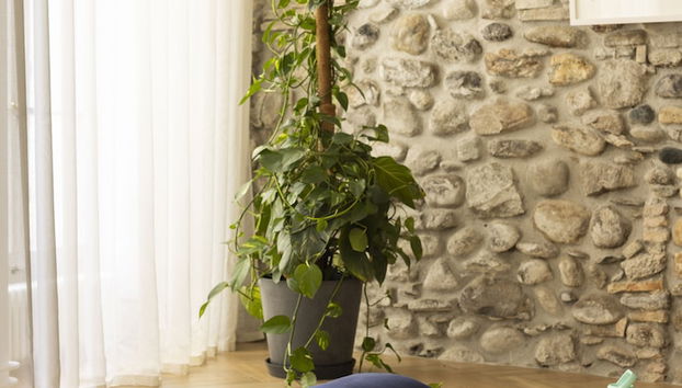 The Hamlet - Foto 4, Recepción