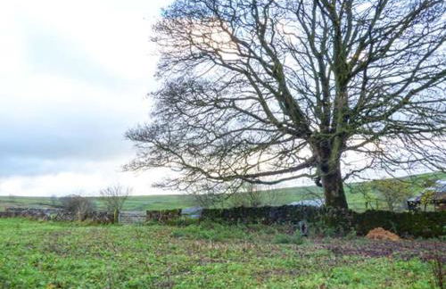 3 Primitive Croft - Photo 11