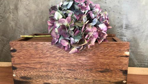 Casa da Arquinha - Foto 4