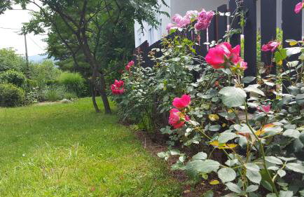 Apartment Nina - Foto 23