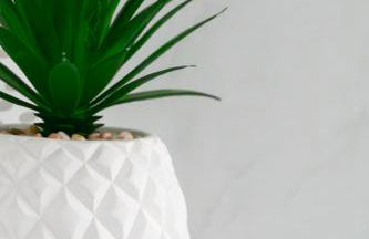 Ferienwohnung Creutzig - Foto 36