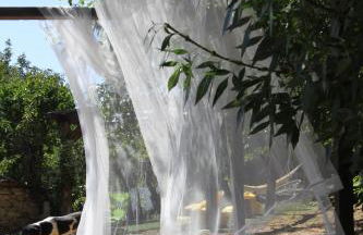 D. MariAntónia Complexo Turístico - Foto 17