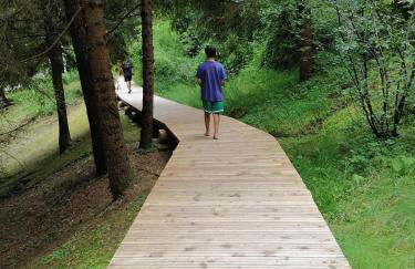 LE MUSE Comano Terme Holiday 2, primo piano - Photo 14