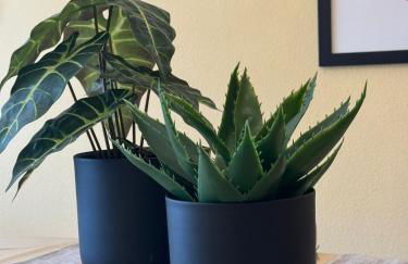 Sunset Beach Front - Foto 6